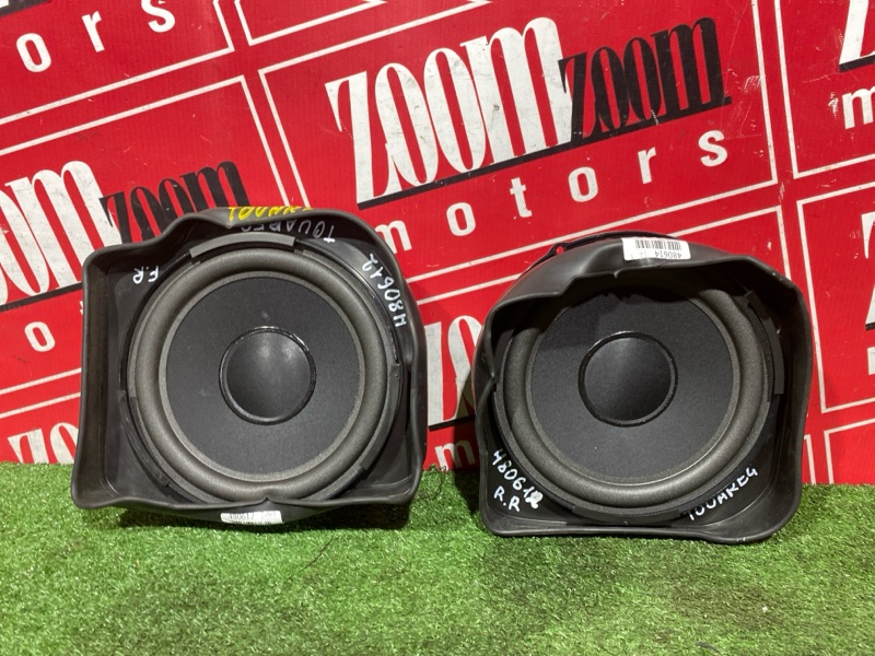 Динамик, 3000 рублей, Солонцы