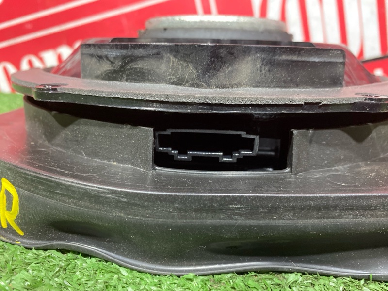 Динамик, 3000 рублей, Солонцы