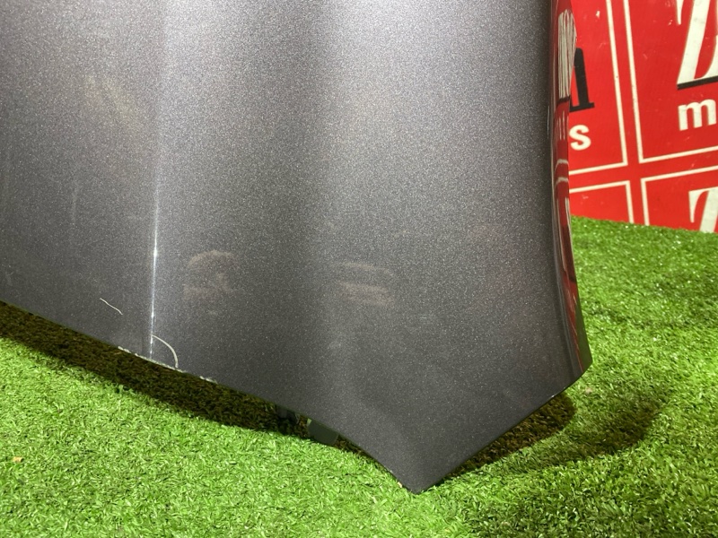 Крыло, 10000 рублей, Солонцы