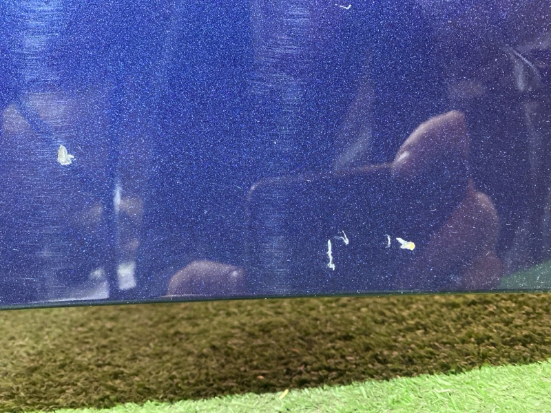 Крыло, 9500 рублей, Солонцы