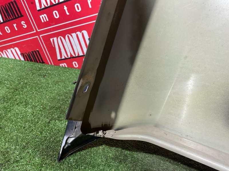 Крыло, 2900 рублей, Солонцы