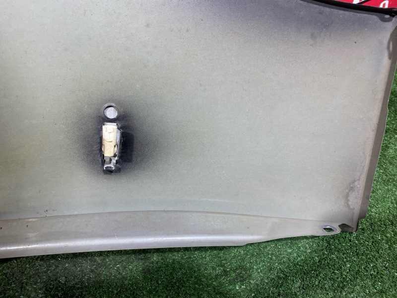 Крыло, 2900 рублей, Солонцы