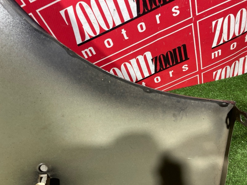 Крыло, 2900 рублей, Солонцы