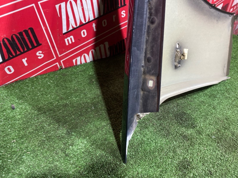 Крыло, 2900 рублей, Солонцы