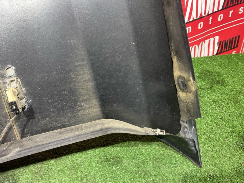 Крыло, 2800 рублей, Солонцы