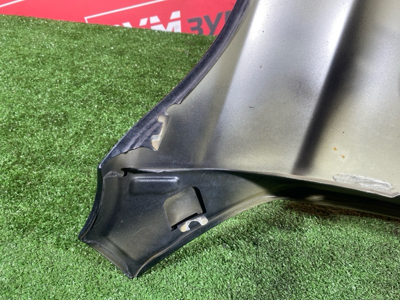 Крыло, 16000 рублей, Солонцы