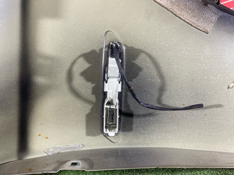 Крыло, 16000 рублей, Солонцы