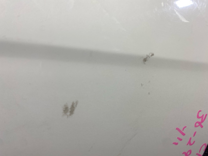 Дверь боковая, 16000 рублей, Солонцы