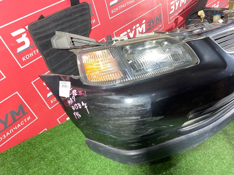 Ноускат, 85000 рублей, Красноярск