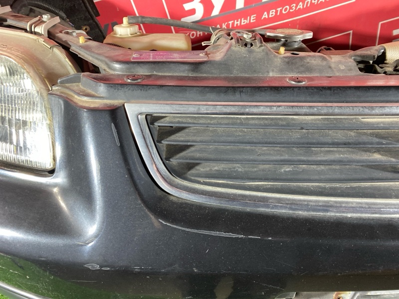 Ноускат, 85000 рублей, Красноярск