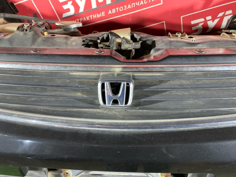 Ноускат, 85000 рублей, Красноярск