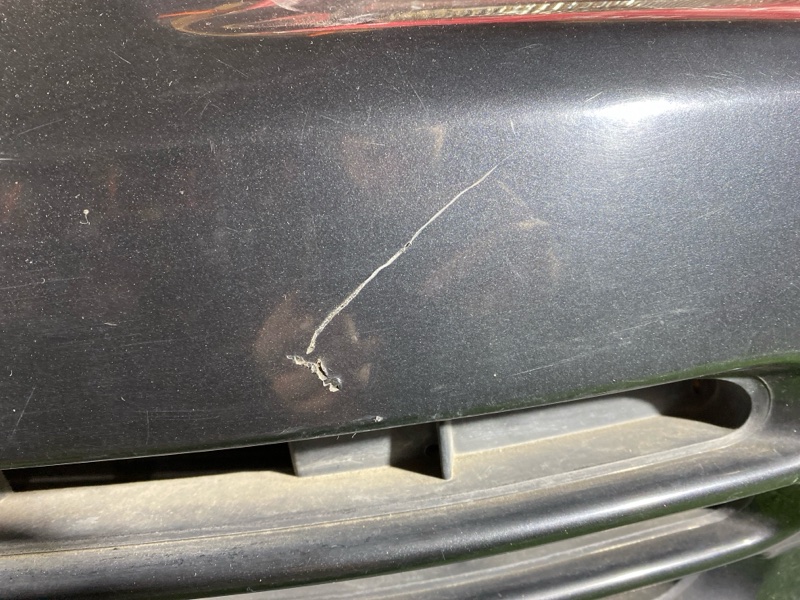 Ноускат, 85000 рублей, Красноярск