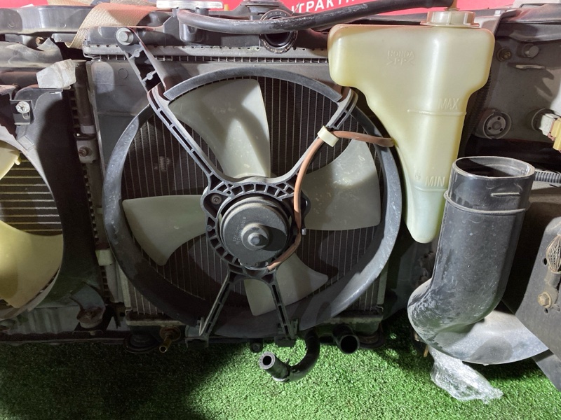 Ноускат, 85000 рублей, Красноярск