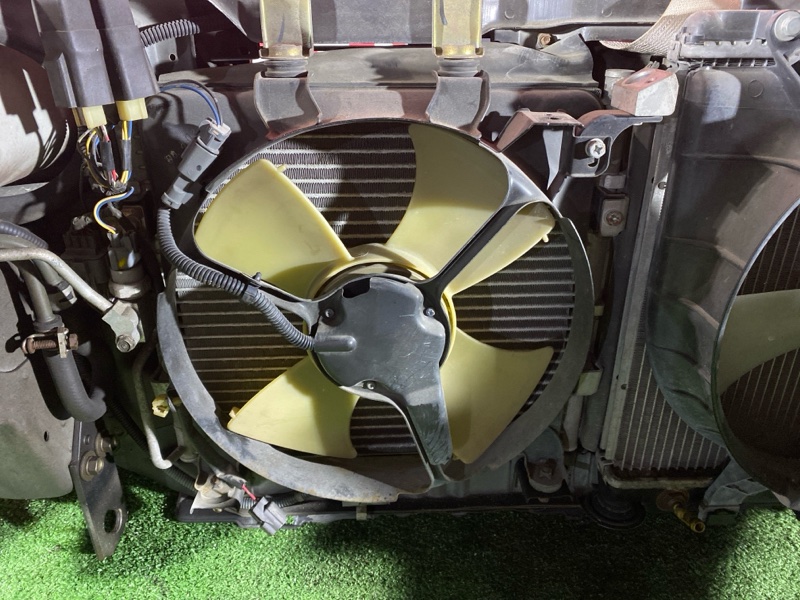 Ноускат, 85000 рублей, Красноярск