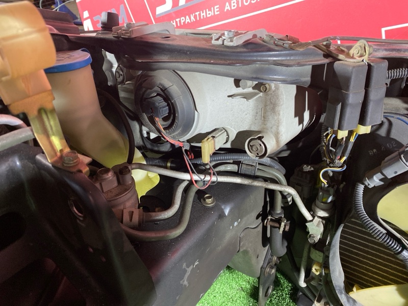 Ноускат, 85000 рублей, Красноярск