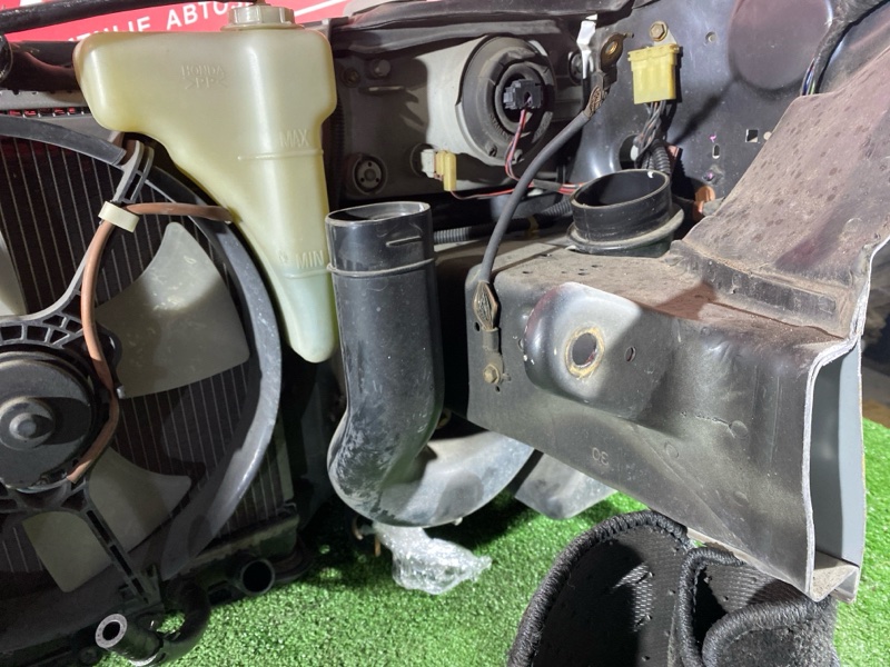 Ноускат, 85000 рублей, Красноярск