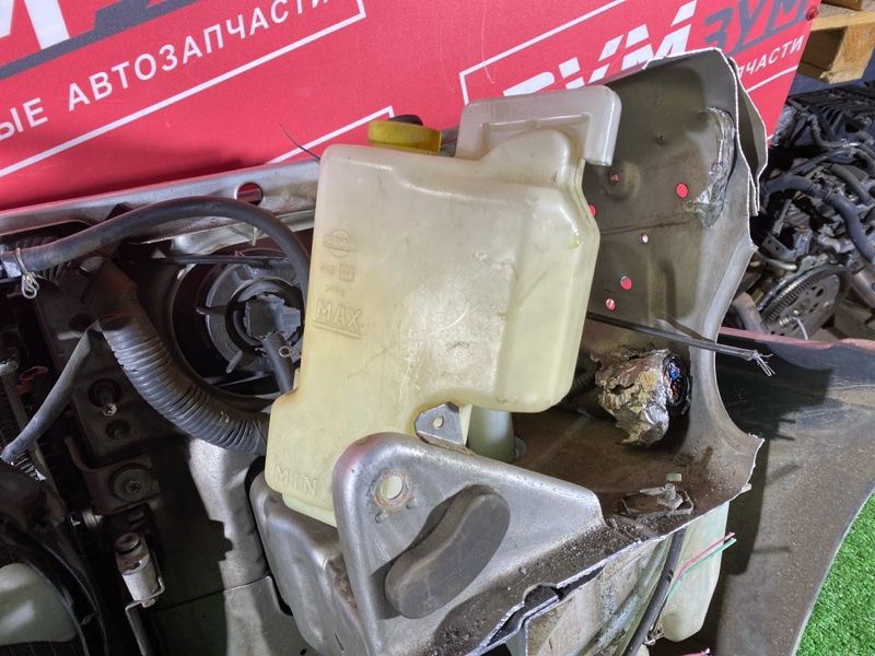 Ноускат, 50000 рублей, Красноярск