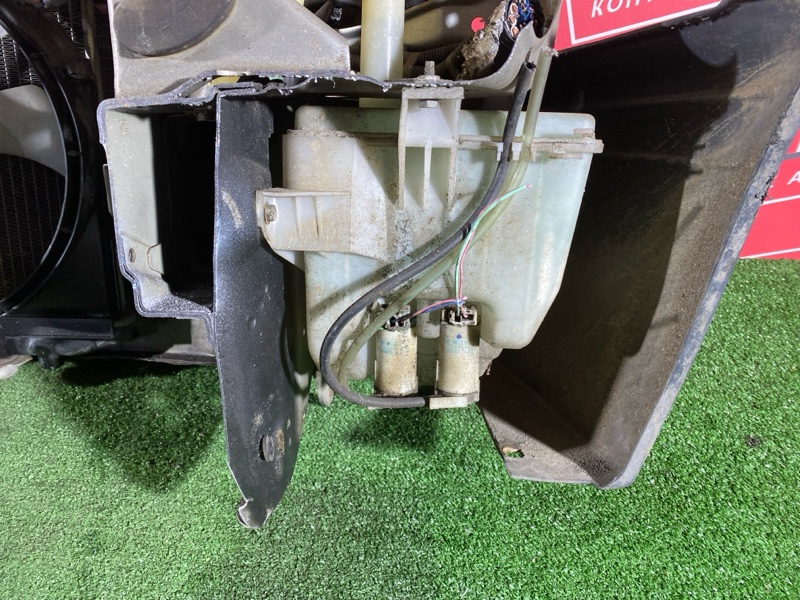 Ноускат, 50000 рублей, Красноярск