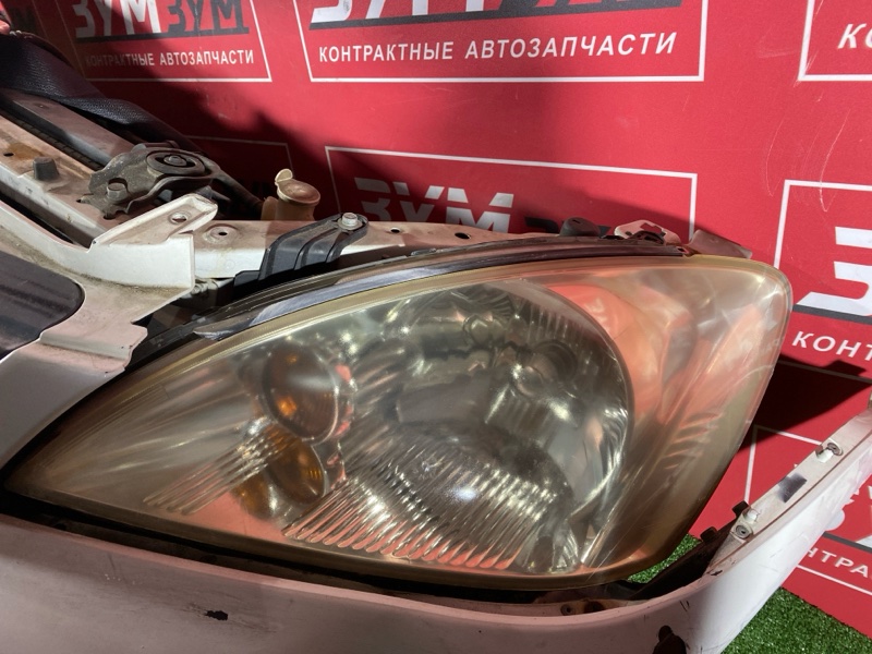 Ноускат, 60000 рублей, Красноярск
