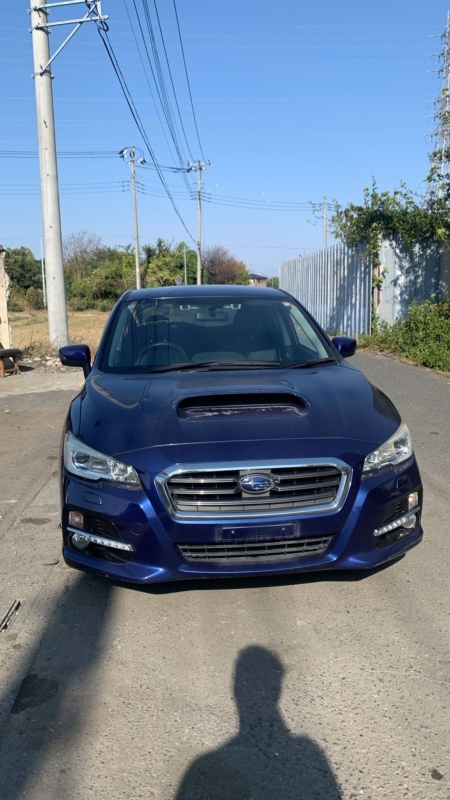 Привод, 9000 рублей, Солонцы