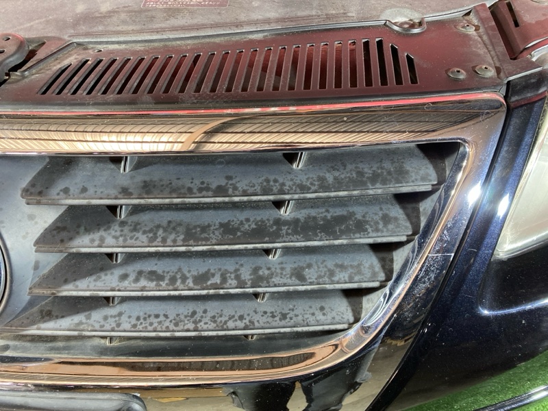 Ноускат, 75000 рублей, Солонцы