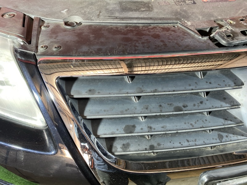 Ноускат, 75000 рублей, Солонцы