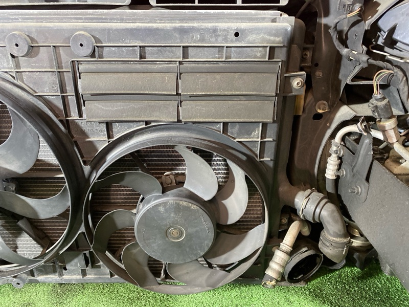 Ноускат, 75000 рублей, Солонцы