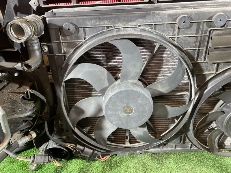 Ноускат, 75000 рублей, Солонцы