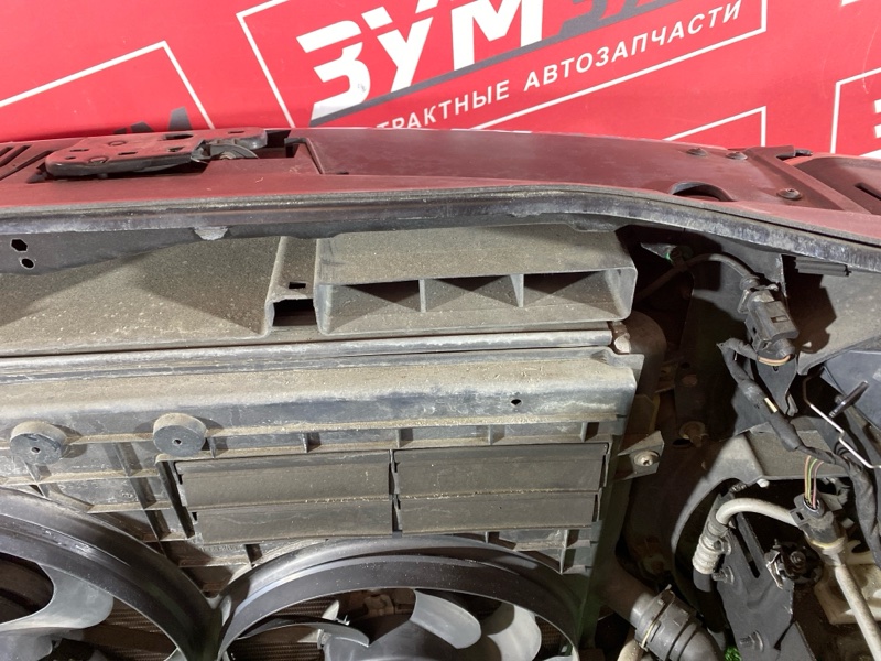 Ноускат, 75000 рублей, Солонцы