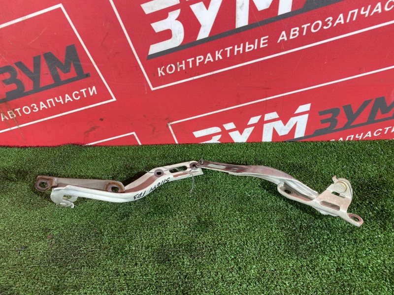 Петля (Шарнир капота), 700 рублей, Солонцы