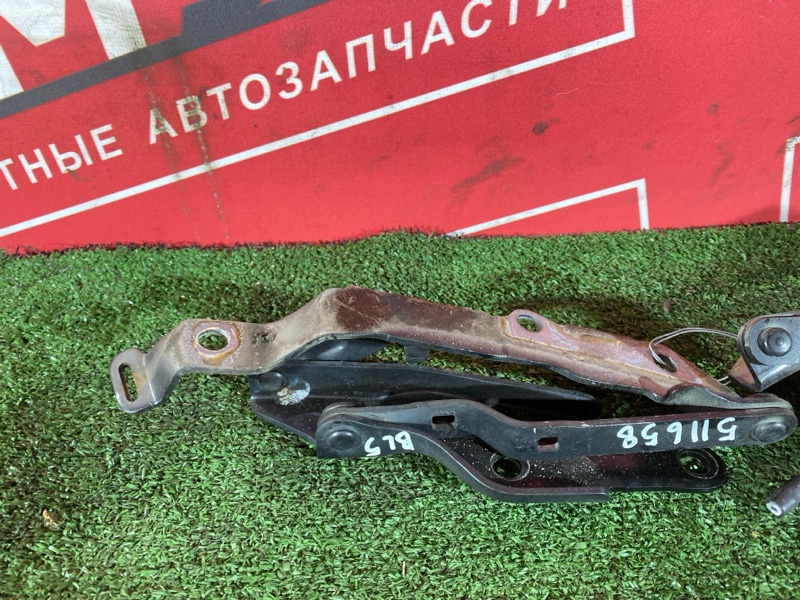 Петля (Шарнир капота), 600 рублей, Солонцы