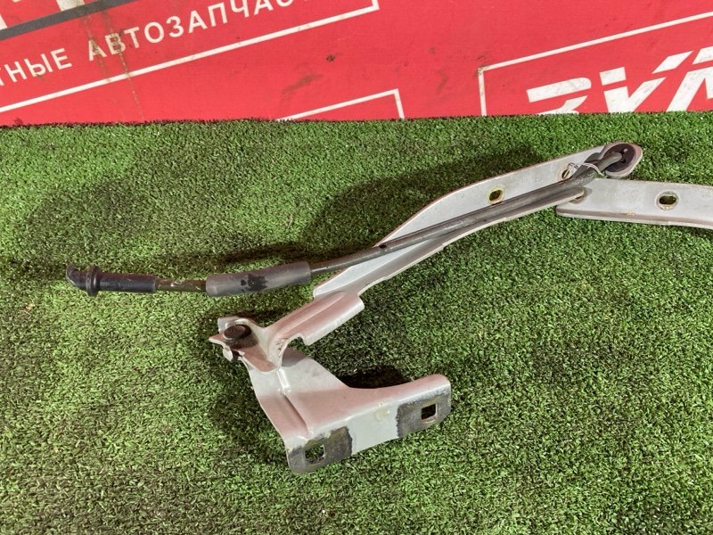 Петля (Шарнир капота), 600 рублей, Солонцы