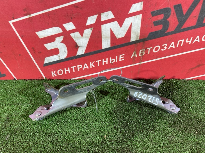 Петля (Шарнир капота), 1000 рублей, Солонцы