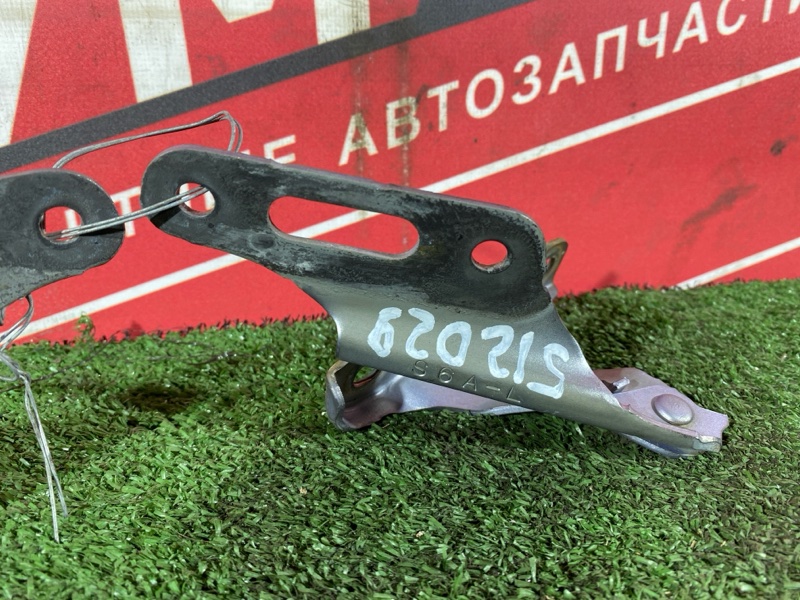Петля (Шарнир капота), 1000 рублей, Солонцы