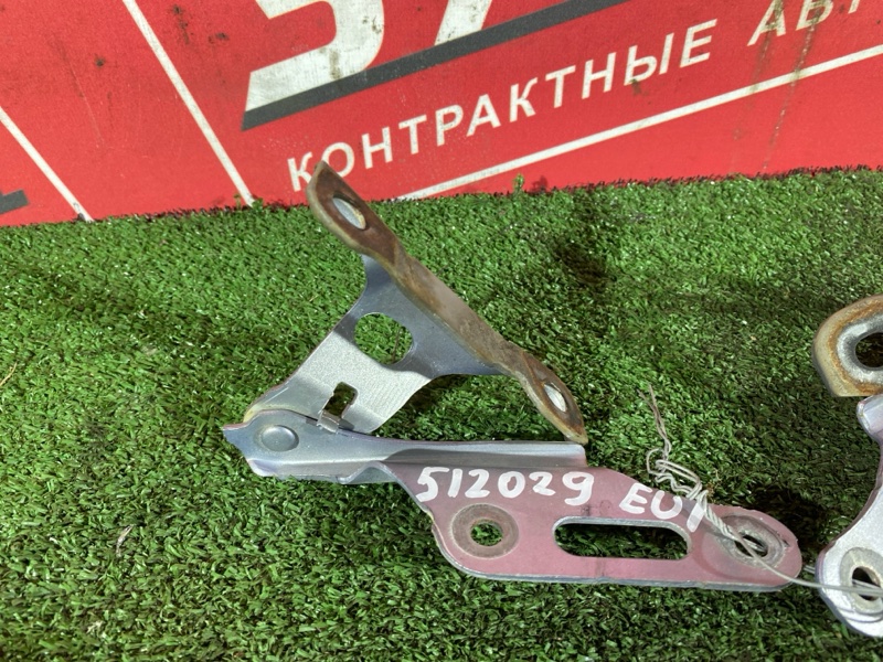 Петля (Шарнир капота), 1000 рублей, Солонцы