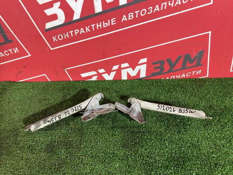 Петля (Шарнир капота), 500 рублей, Солонцы