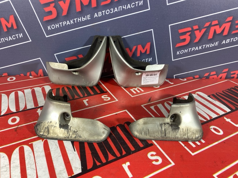 Брызговик, 1500 рублей, Солонцы