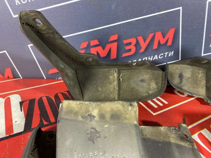 Брызговик, 1000 рублей, Солонцы