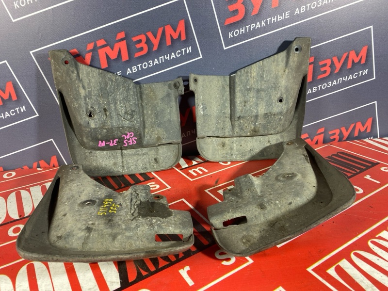 Брызговик, 5000 рублей, Солонцы