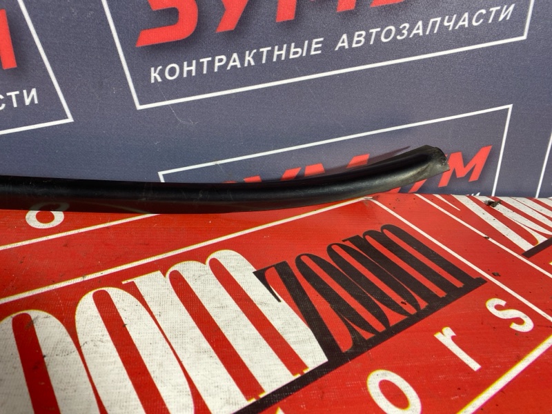 Молдинг лобового стекла, 2900 рублей, Солонцы
