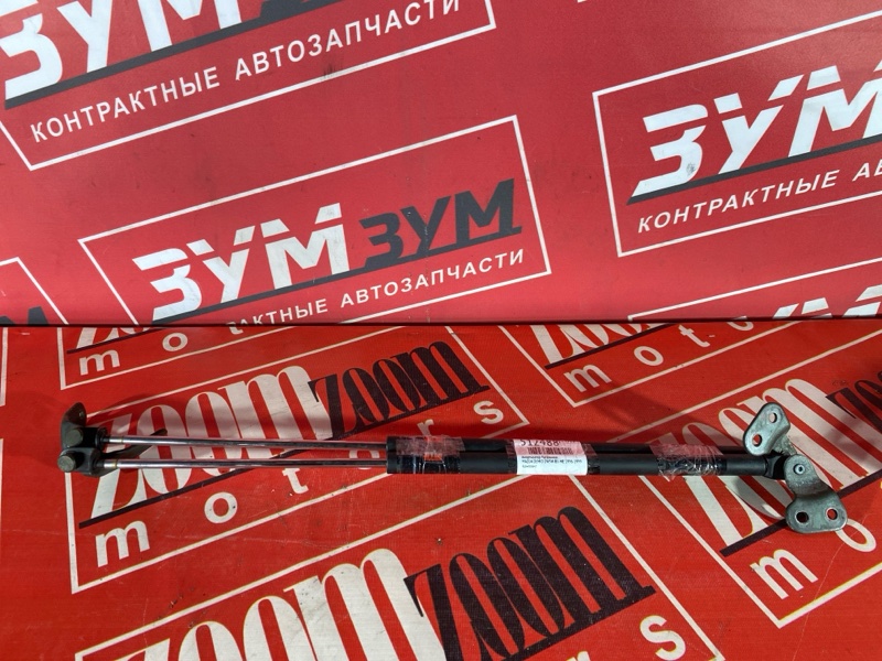 Амортизатор багажника, 400 рублей, Солонцы
