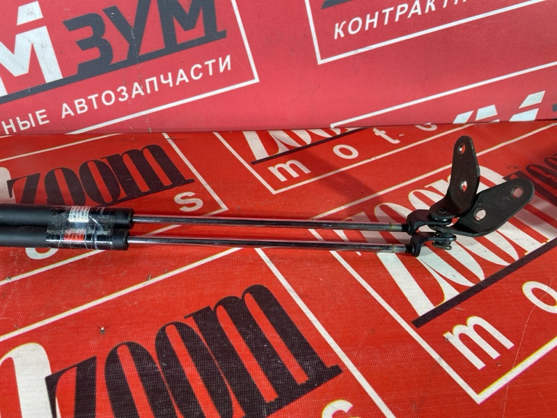 Амортизатор багажника, 400 рублей, Солонцы