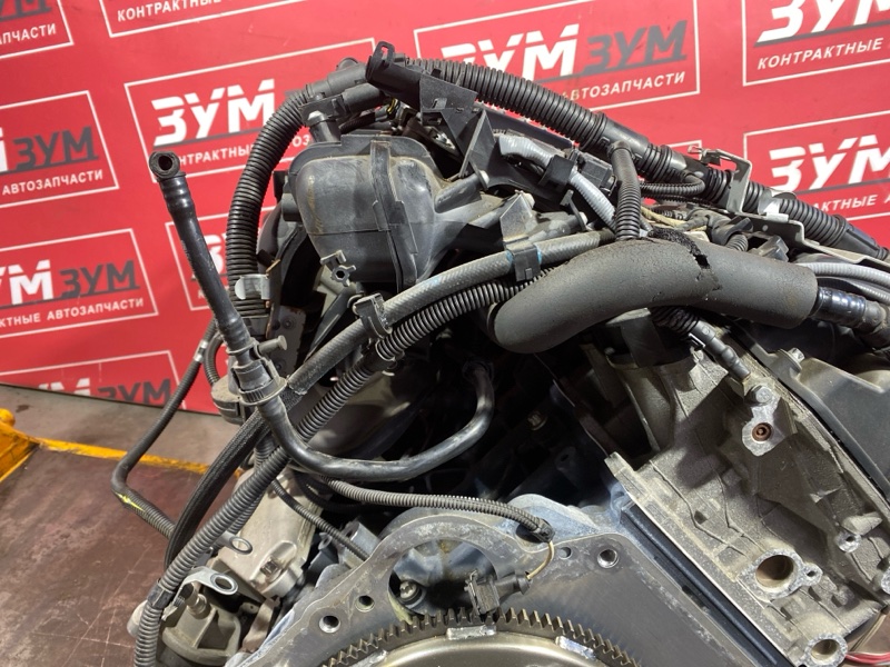 Двигатель, 250000 рублей, Солонцы