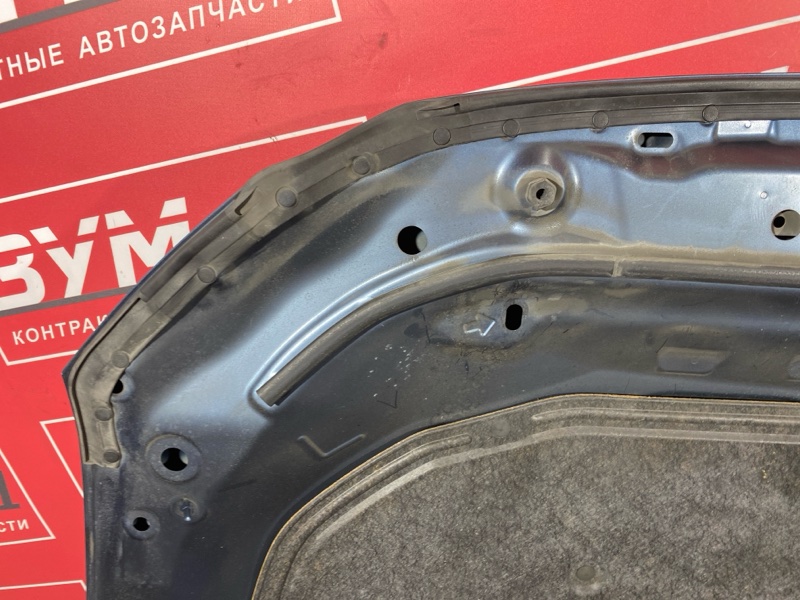 Капот, 25000 рублей, Солонцы