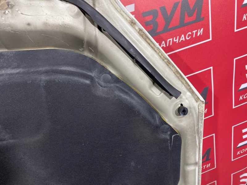 Капот, 10500 рублей, Солонцы