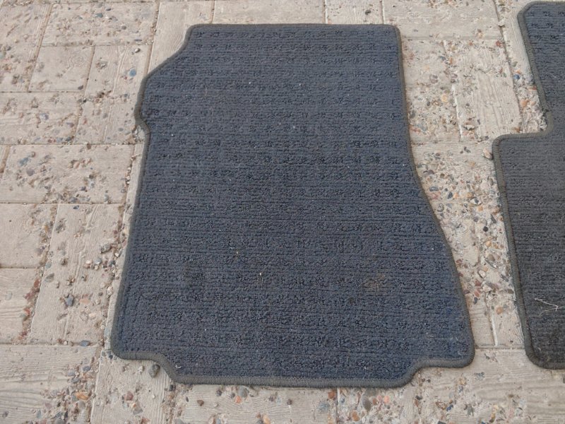 Коврик, 1000 рублей, Солонцы