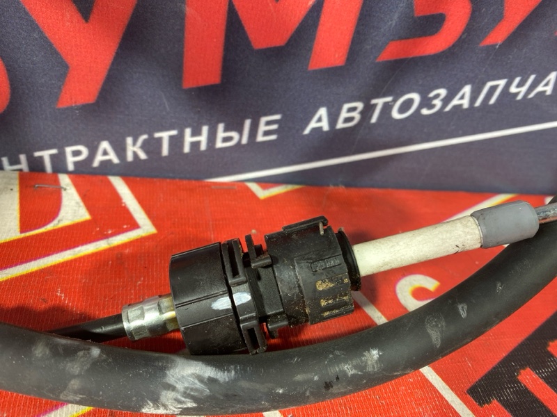 Трос АКПП, 800 рублей, Солонцы