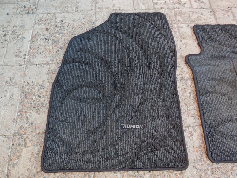 Коврик, 1000 рублей, Солонцы