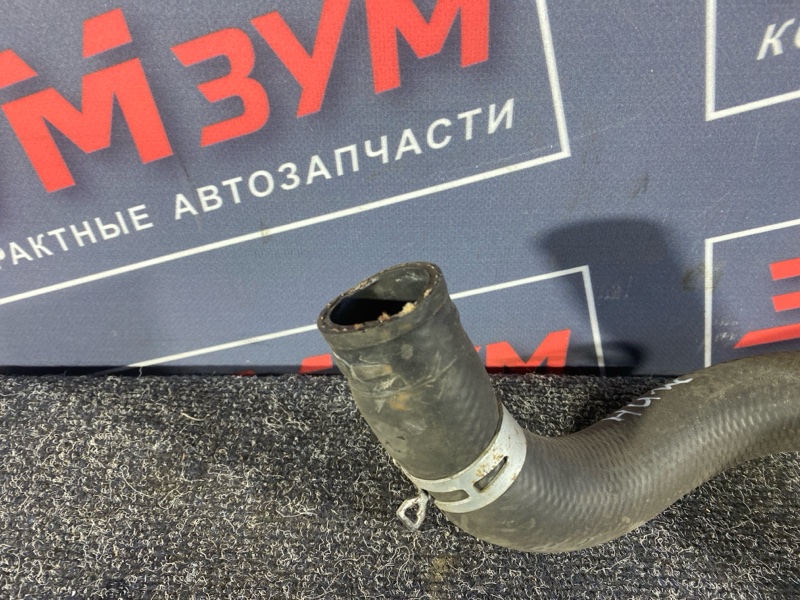Патрубок радиатора, 1000 рублей, Солонцы