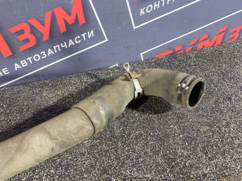 Патрубок радиатора, 1000 рублей, Солонцы